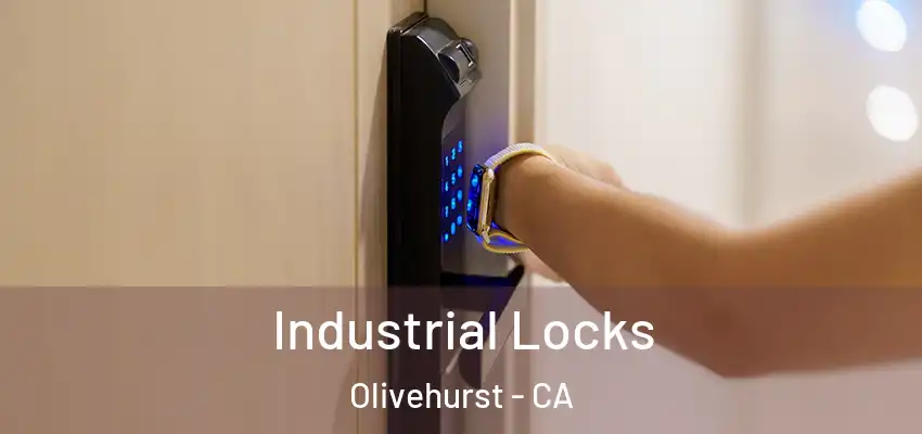 Industrial Locks Olivehurst - CA
